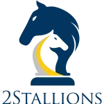 2Stallions Pte. Ltd. company logo
