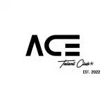 ACE Talent Consulting company logo