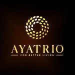 Ayatrio Pvt Ltd company logo