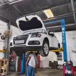 BINANI AUTOMOBILES company logo