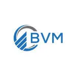 BVM Global company logo