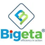 Bigeta Energy Solutions company logo