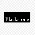 BlackHardStone company logo