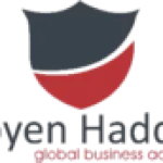 Boyen Haddin Consulting & Technology Pvt Ltd company logo