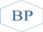Bridge Placements company logo