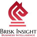 Brisk Insights India Pvt Ltd company logo