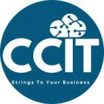 CocoonIT services company logo