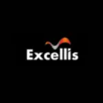 Excellis IT Pvt Ltd company logo