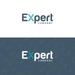 Expert Crew company logo