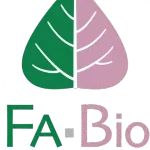 FABIYYO INC company logo