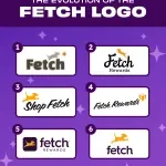 FETCH INTERNATIONAL company logo