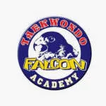 Falcon Academy company logo