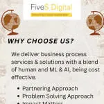 Five S Digital company logo