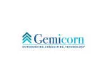 Gemicorn Technologies Pvt Ltd company logo