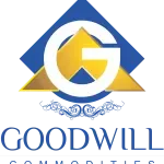 Goodwill Consultancy company logo