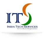INDIATECH CONSULTANCY SERVICES company logo