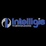 Intelligistic Technlologies LLP company logo