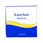 Kanchan Rasayan company logo