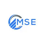 MSE Financial Services Ltd. (MSE FSL) company logo