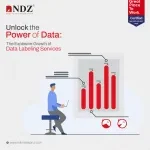 Ndimensionz Solutions Pvt. Ltd company logo