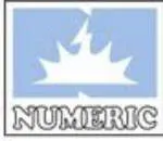Numeric Power Systems Limited company logo
