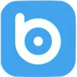 Omni Bridge Solutions Pvt. Ltd company logo