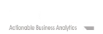 Predoole Analytics company logo