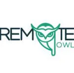 Remote Owls company logo