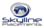 Skyline Placements company logo