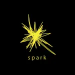Spark Enterprises company logo