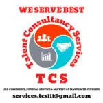 TALENT CONSULTANCY SRVICES company logo