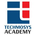 TECHMOSYS ACADEMY company logo