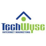 Techwyse IT Solutions Private Limited company logo
