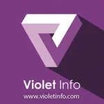 Violet Infosystems Private Limited company logo