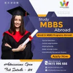 Visdom Overseas Education company logo