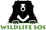 Wildlife SOS company logo