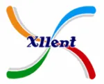 Xllent Corporate Services Pvt Ltd company logo