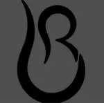 sbe unique retails private limited company logo