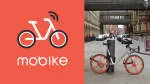 AM MOBIKES company logo