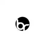 B.R Ceramics Pvt Ltd company logo