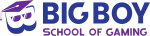 Big Boy School of Gaming Pvt Ltd company logo