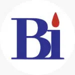 Birmingham Industries Limited company logo