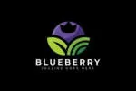 BlueBerry Agro Products Pvt Ltd company logo