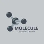 Chemical & Cosmetics Aerosol Manufacturing Company company logo