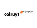 Colruyt IT Consultancy India company logo