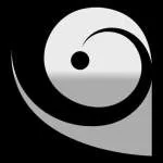 Concise International company logo