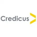 Credicus Business Services Pvt Ltd company logo