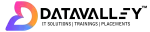 Datavalley India Pvt Ltd company logo