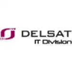 Delsat Infotech Private Limited company logo