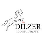 Dilzer Consultants company logo